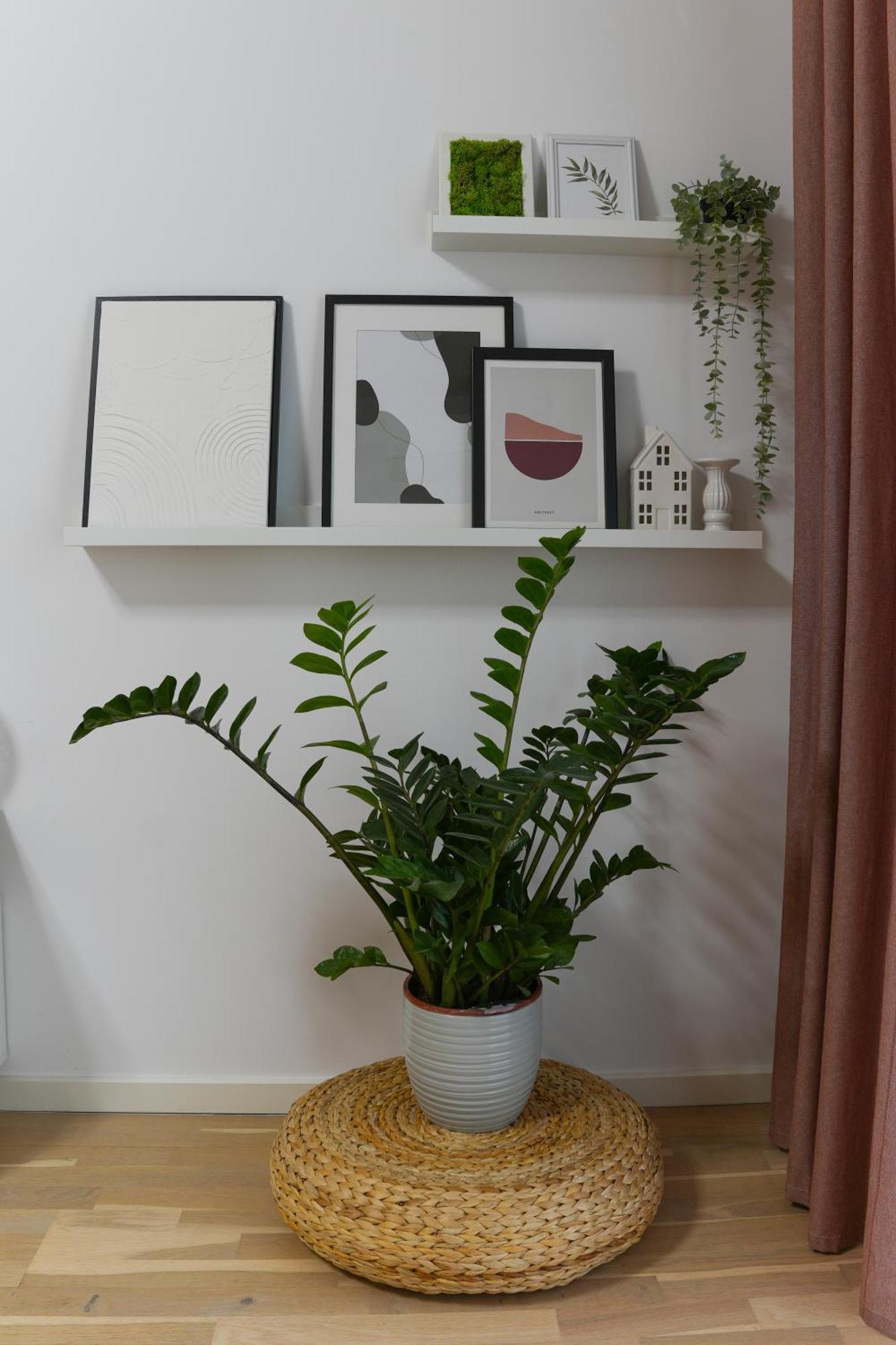 Amalia - Quiet 1Br Apartment With Parking & Wi-Fi Bukarest Exterior foto